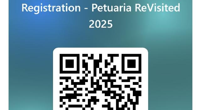 2025 Petuaria ReVisited  community dig open for applications
